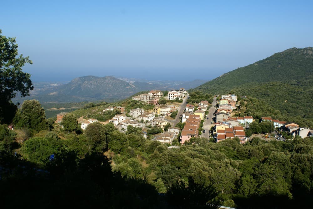osini2